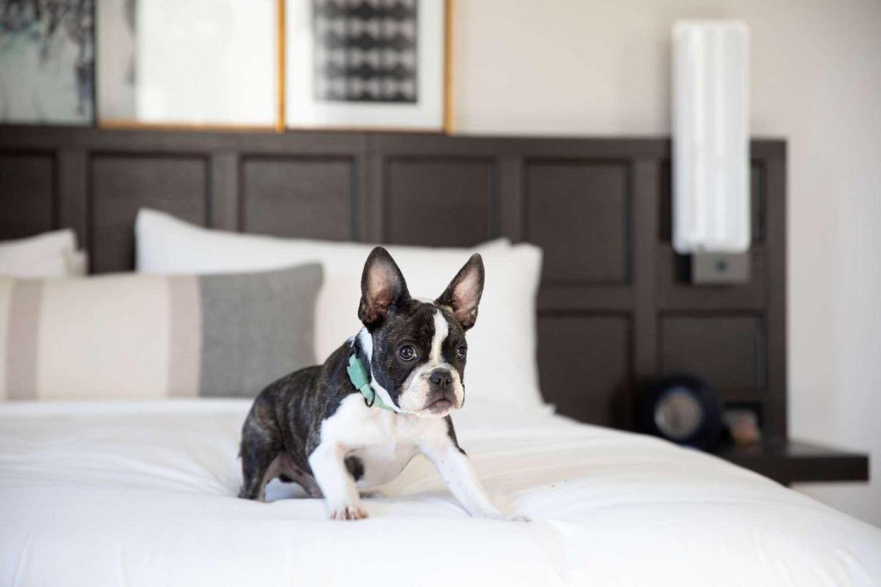 Hotel The Clift Royal Sonesta San Francisco Esterno foto